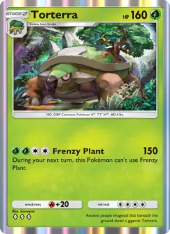 Carta Torterra
