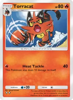 Carta Torracat