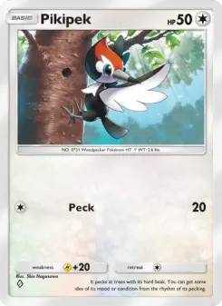 Carta Pikipek