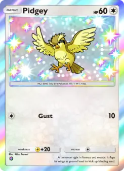Carta Pidgey