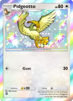 Carta Pidgeotto