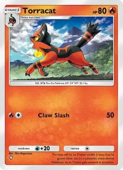 Carta Torracat