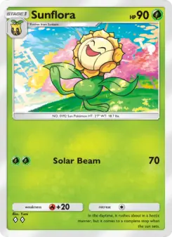 Carta Sunflora
