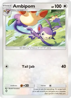 Carta Ambipom