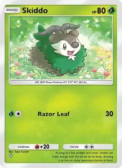Carta Skiddo