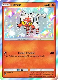 Carta Litten
