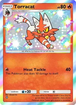 Carta Torracat