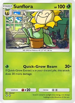 Carta Sunflora