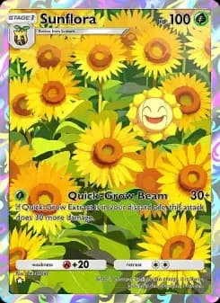 Carta Sunflora