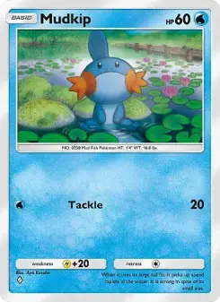 Carta Mudkip