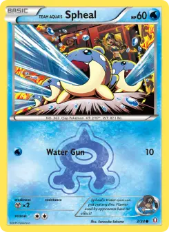 Carta Team Aqua's Spheal