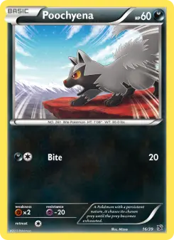 Carta Poochyena