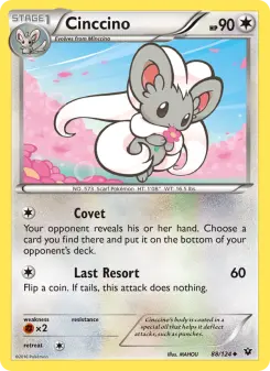 Carta Cinccino