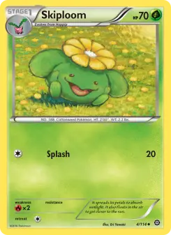 Carta Skiploom