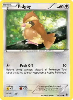 Carta Pidgey