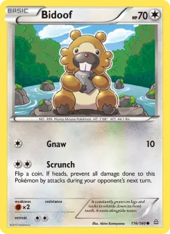Carta Bidoof