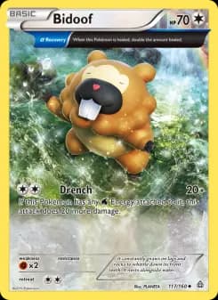 Carta Bidoof